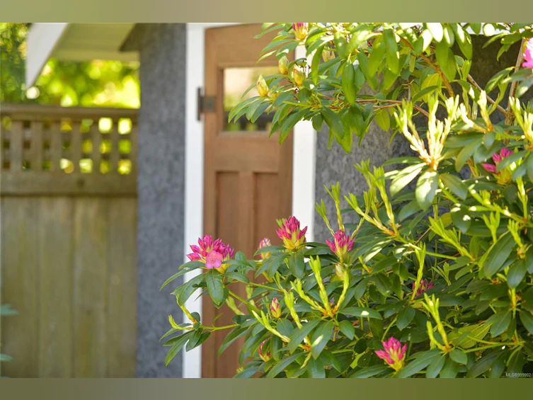 2175 Bartlett Avenue, Oak Bay, BC, V8S 2R1 - 64