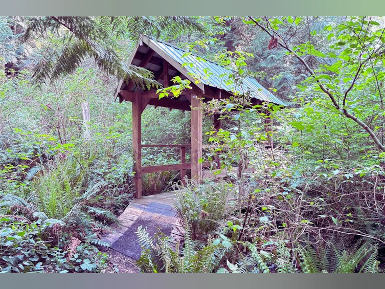 6662 W Island Highway, Bowser/Deep Bay, BC, V0R 1G0 - 2