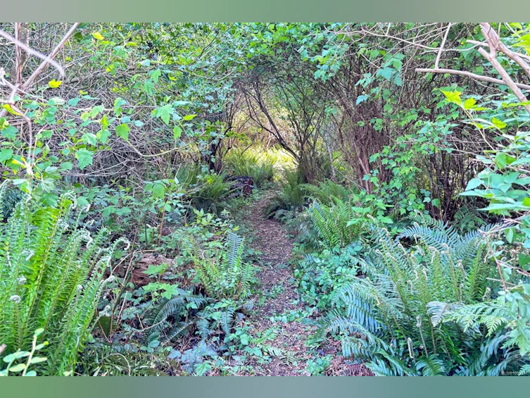 6662 W Island Highway, Bowser/Deep Bay, BC, V0R 1G0 - 22