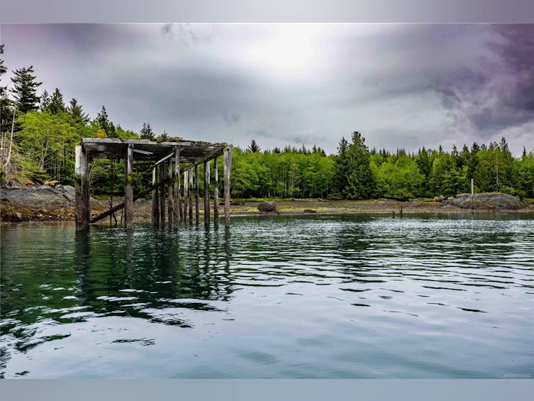 DL1833 Cracroft Island, North Coast Small Islands, BC, V0N 3J0 - 6
