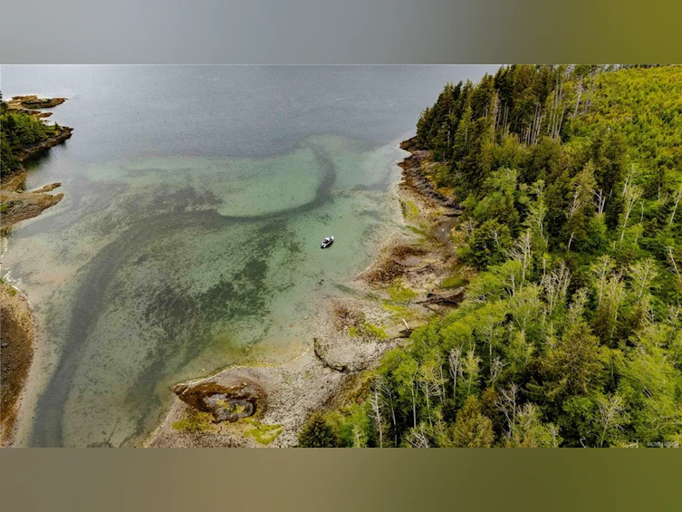DL1833 Cracroft Island, North Coast Small Islands, BC, V0N 3J0 - 12