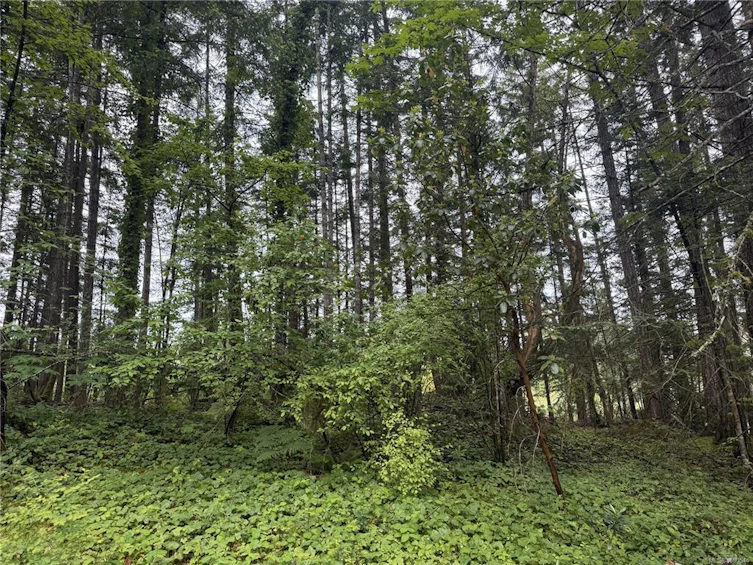 12598 Lipton Road, Ladysmith, BC, V9G 1M6 - 11