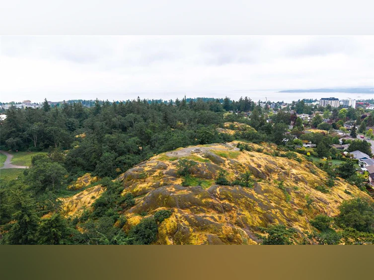 815 Elrick Place, Esquimalt, BC, V9A 4T2 - 71