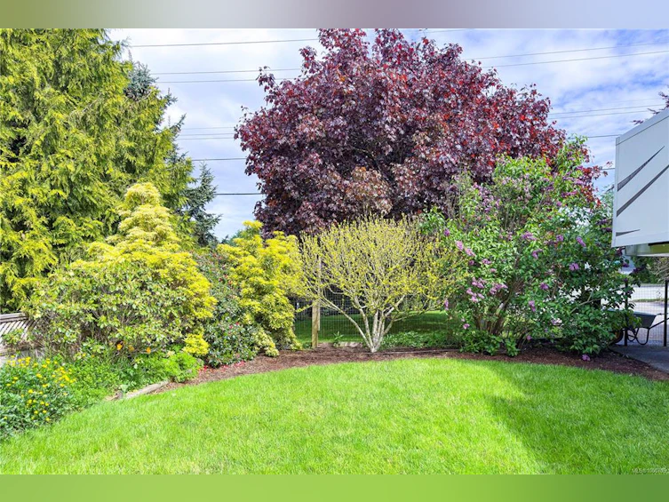 825 2nd Avenue, Campbell River, BC, V9W 3V5 - 37