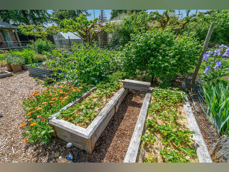 380 W Hirst Avenue, Parksville, BC, V9P 1K4 - 40