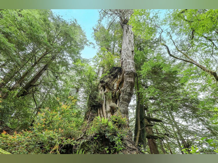 0 Neilson Island, Tofino, BC, V0R 2Z0 - 61