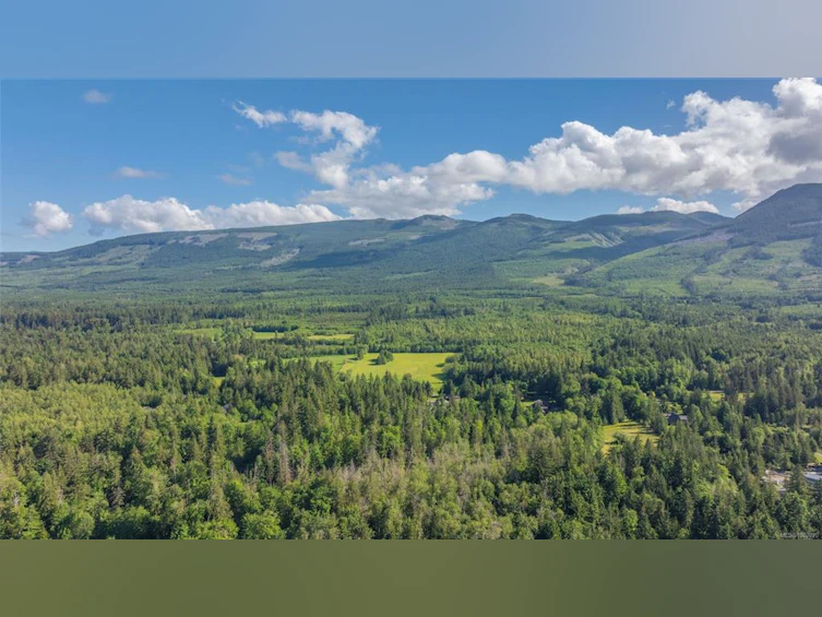 3182 Melon Road, Hilliers, BC, V9K 2J5 - 64