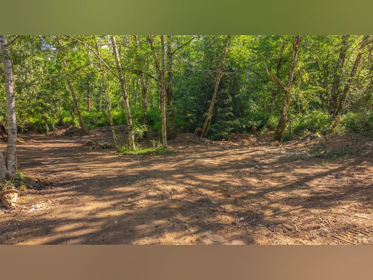 3182 Melon Road, Hilliers, BC, V9K 2J5 - 60
