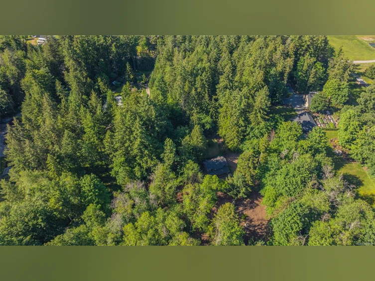 3182 Melon Road, Hilliers, BC, V9K 2J5 - 44