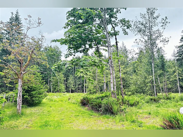 Lot B W Island Highway, Bowser/Deep Bay, BC, V0R 1G0 - 3