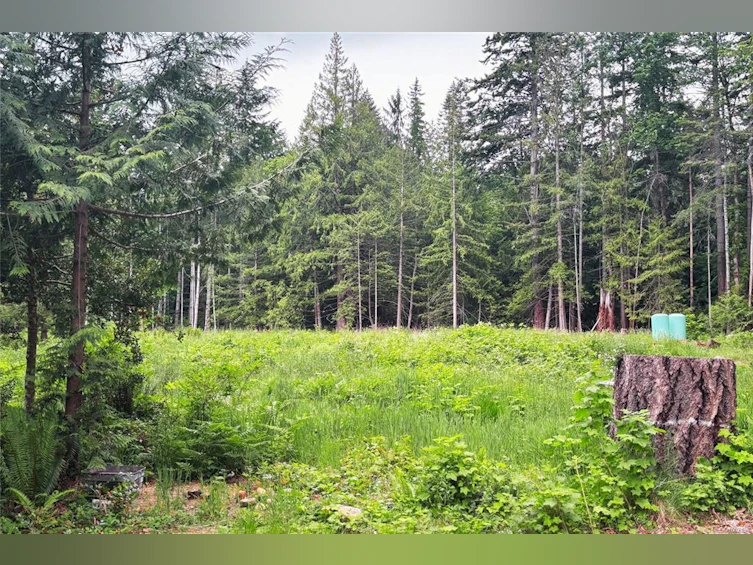 Lot C W Island Highway, Bowser/Deep Bay, BC, V0R 1G0 - 18