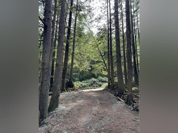 LT 15 Mitchell Bay Road, Sointula, BC, V0N 3E0 - 22