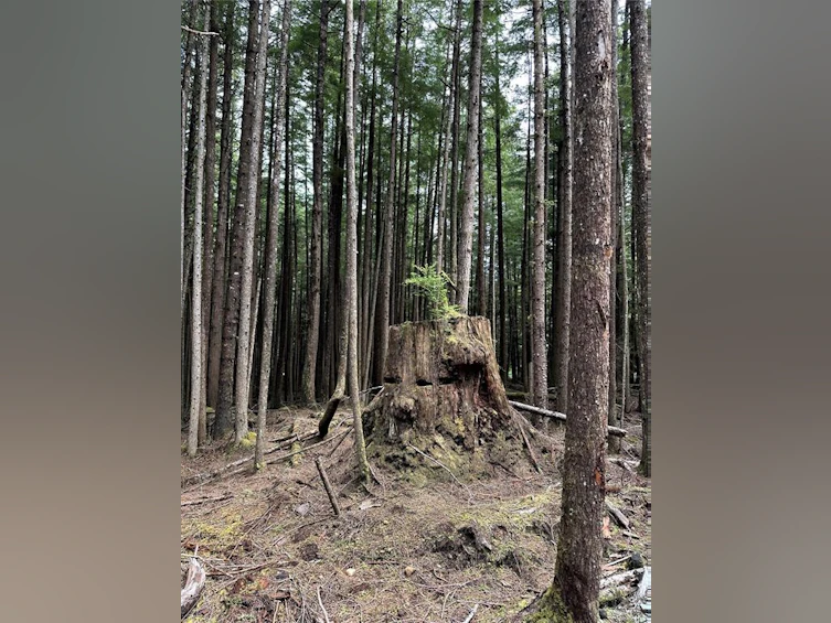 LT 15 Mitchell Bay Road, Sointula, BC, V0N 3E0 - 29