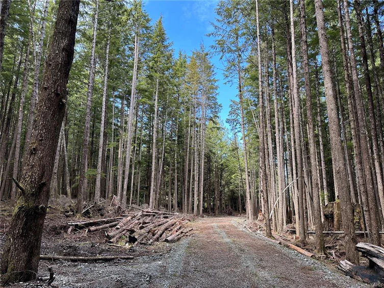 LT 15 Mitchell Bay Road, Sointula, BC, V0N 3E0 - 3
