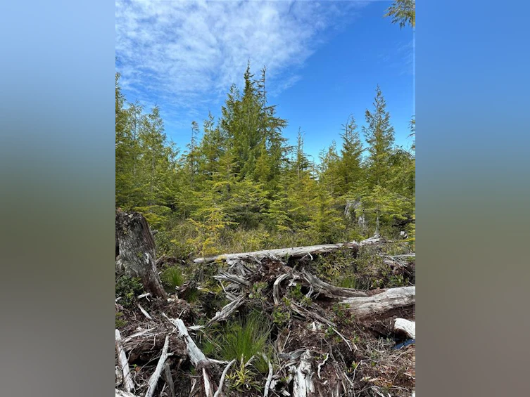 LT 15 Mitchell Bay Road, Sointula, BC, V0N 3E0 - 41