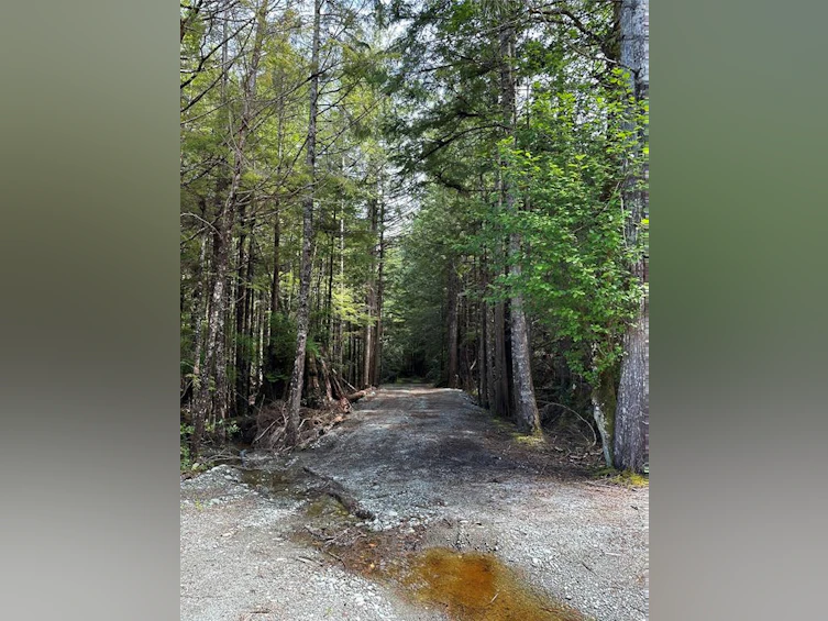 LT 15 Mitchell Bay Road, Sointula, BC, V0N 3E0 - 21