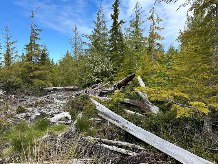 LT 15 Mitchell Bay Road, Sointula, BC, V0N 3E0 - 6