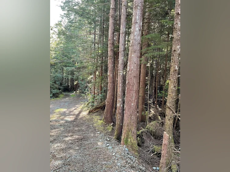 LT 15 Mitchell Bay Road, Sointula, BC, V0N 3E0 - 17