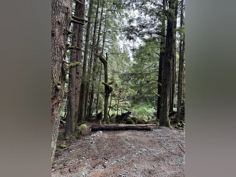 LT 15 Mitchell Bay Road, Sointula, BC, V0N 3E0 - 28