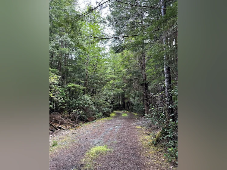 LT 15 Mitchell Bay Road, Sointula, BC, V0N 3E0 - 42