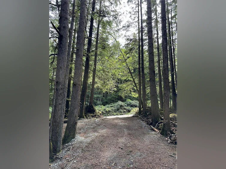 LT 15 Mitchell Bay Road, Sointula, BC, V0N 3E0 - 14