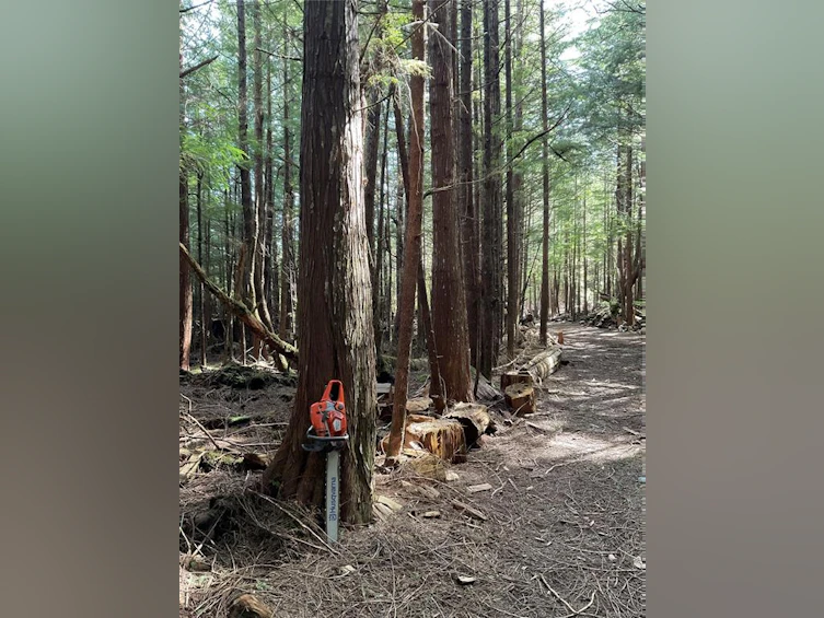 LT 15 Mitchell Bay Road, Sointula, BC, V0N 3E0 - 25