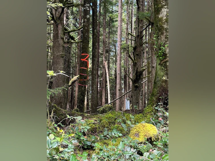 LT 15 Mitchell Bay Road, Sointula, BC, V0N 3E0 - 23