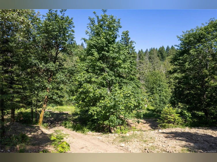 1550 Wells Place, Errington, BC, V0R 1V0 - 38