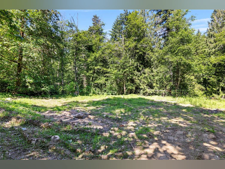 1550 Wells Place, Errington, BC, V0R 1V0 - 36