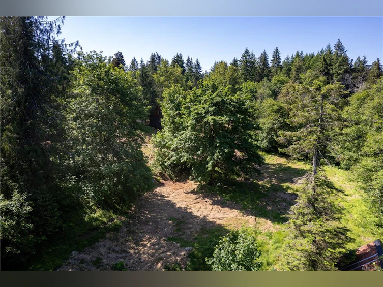1550 Wells Place, Errington, BC, V0R 1V0 - 51