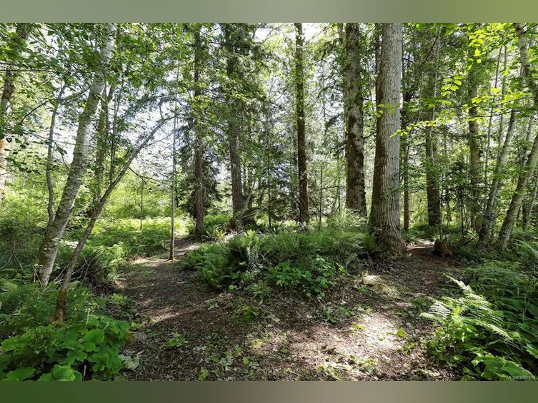 2470 Sackville Road, Black Creek, BC, V0R 2M0 - 67