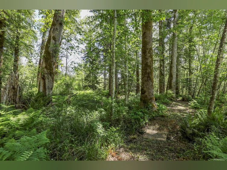 2470 Sackville Road, Black Creek, BC, V0R 2M0 - 66