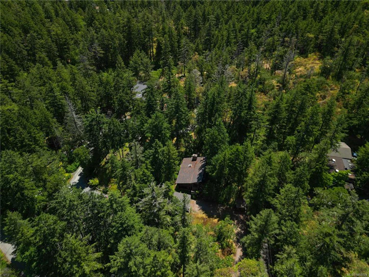 295 W Viaduct Avenue, Saanich, BC, V9E 2B6 - 38