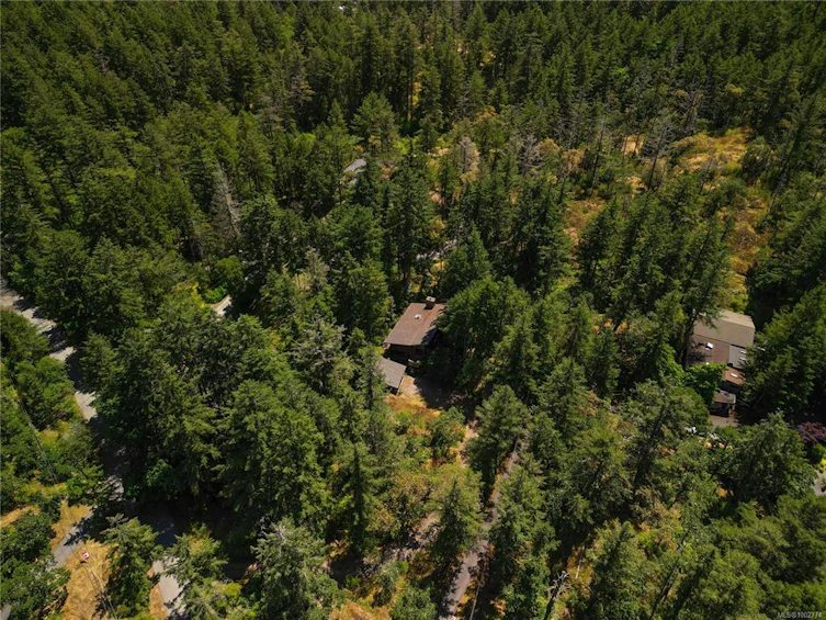 295 W Viaduct Avenue, Saanich, BC, V9E 2B6 - 39