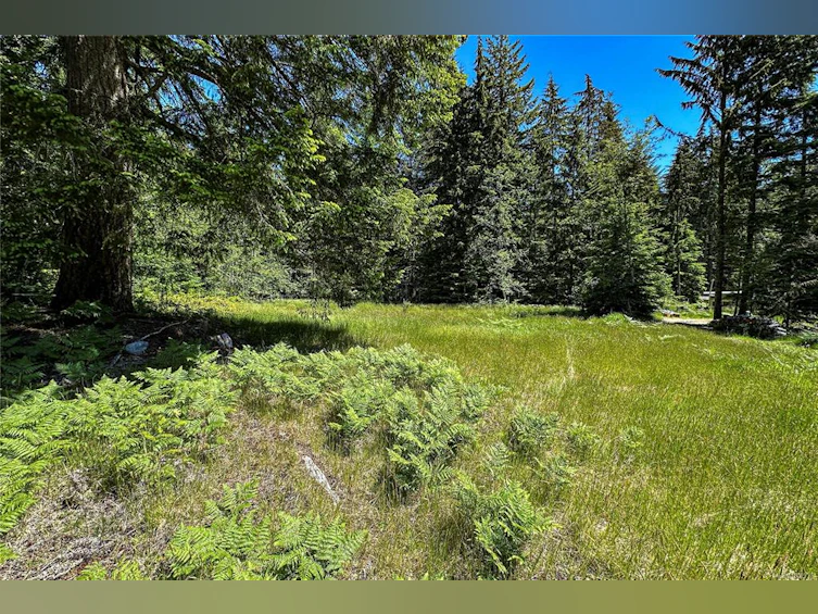 1317 Whaletown Road, Cortes Island, BC, V0P 1K0 - 17