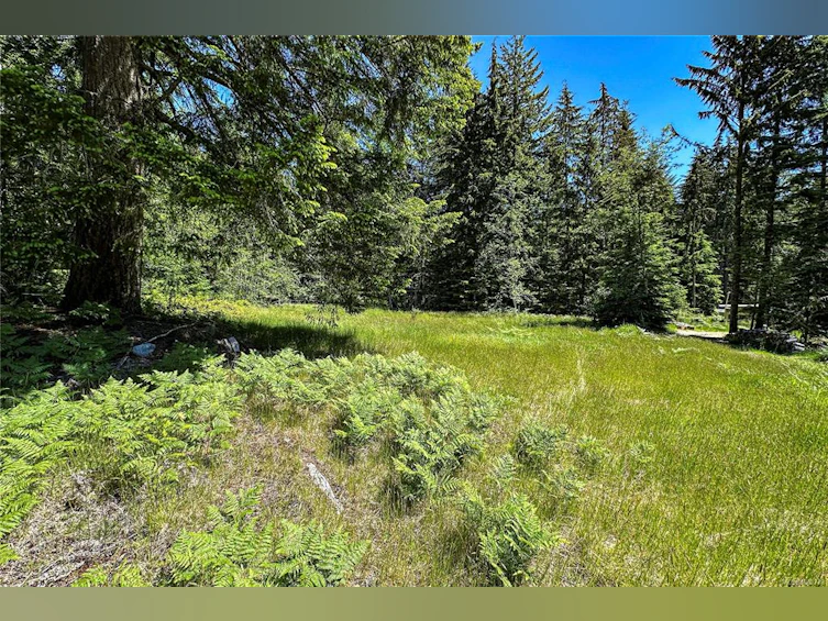 1317 Whaletown Road, Cortes Island, BC, V0P 1K0 - 14