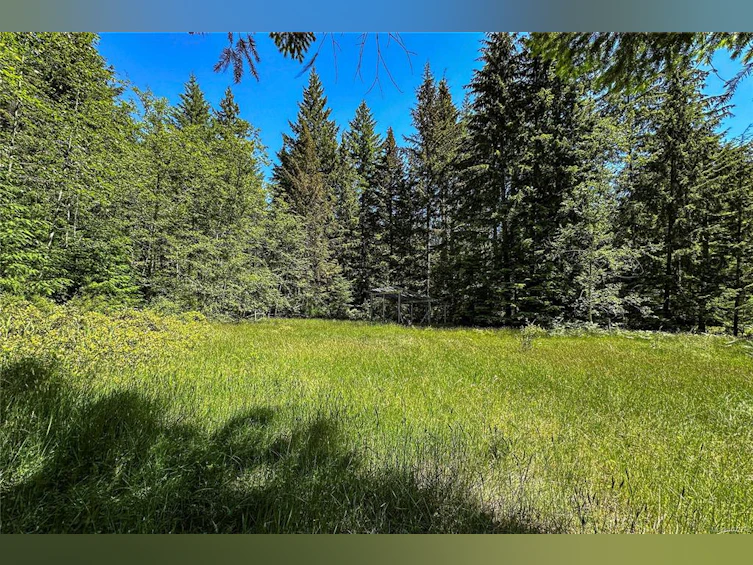 1317 Whaletown Road, Cortes Island, BC, V0P 1K0 - 13