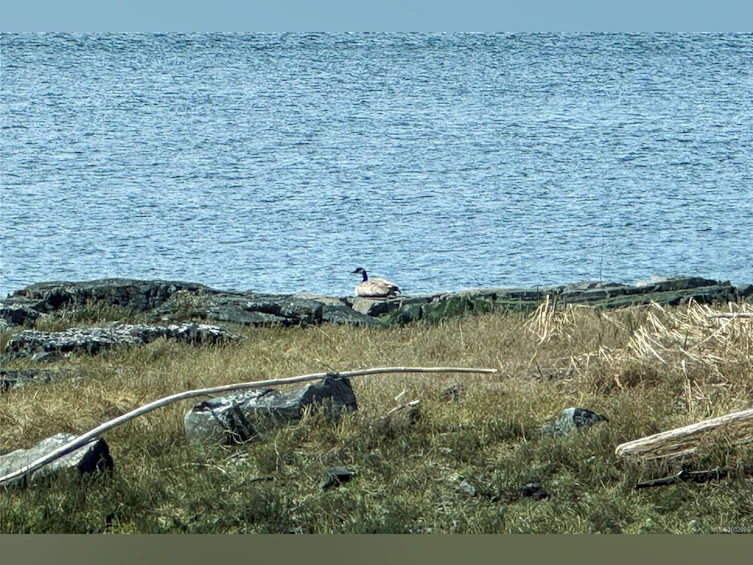 0 Humpback Bay, Kelsey Bay/Sayward, BC, V0P 1R0 - 43