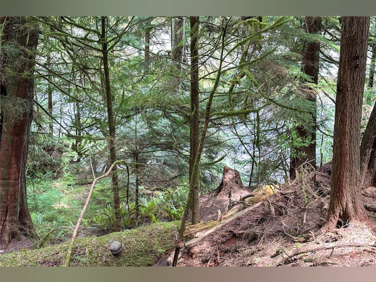 0 Humpback Bay, Kelsey Bay/Sayward, BC, V0P 1R0 - 45