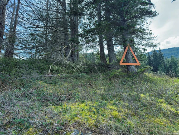 0 Humpback Bay, Kelsey Bay/Sayward, BC, V0P 1R0 - 36