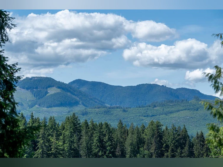 7454 Teal Court, Lake Cowichan, BC, V0R 2G1 - 56