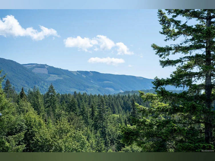 7454 Teal Court, Lake Cowichan, BC, V0R 2G1 - 53