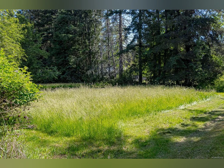 2928 Palmer Road, Hilliers, BC, V9K 1W5 - 26