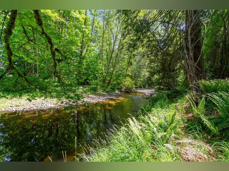 859 Drew Road, French Creek, BC, V9P 1X2 - 9