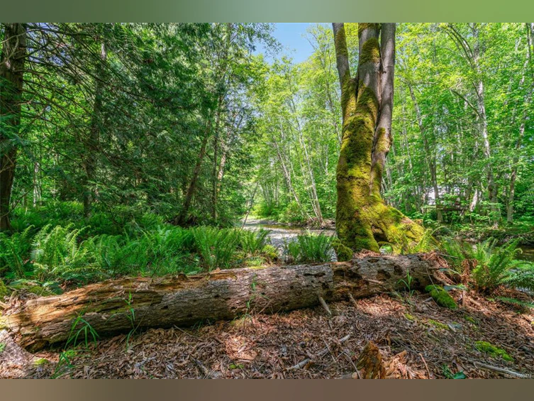 859 Drew Road, French Creek, BC, V9P 1X2 - 55