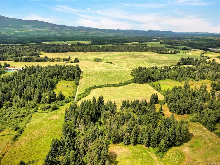 2332 Endall Road, Black Creek, BC, V9J 1G7 - 65