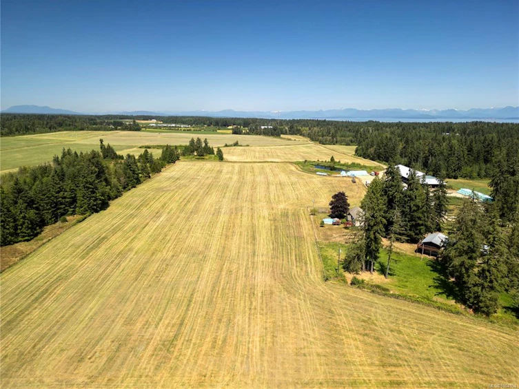 2332 Endall Road, Black Creek, BC, V9J 1G7 - 60