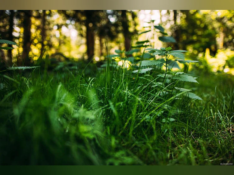 Lt 8 Sitka Grove, Gabriola Island, BC, V0R 1X0 - 2