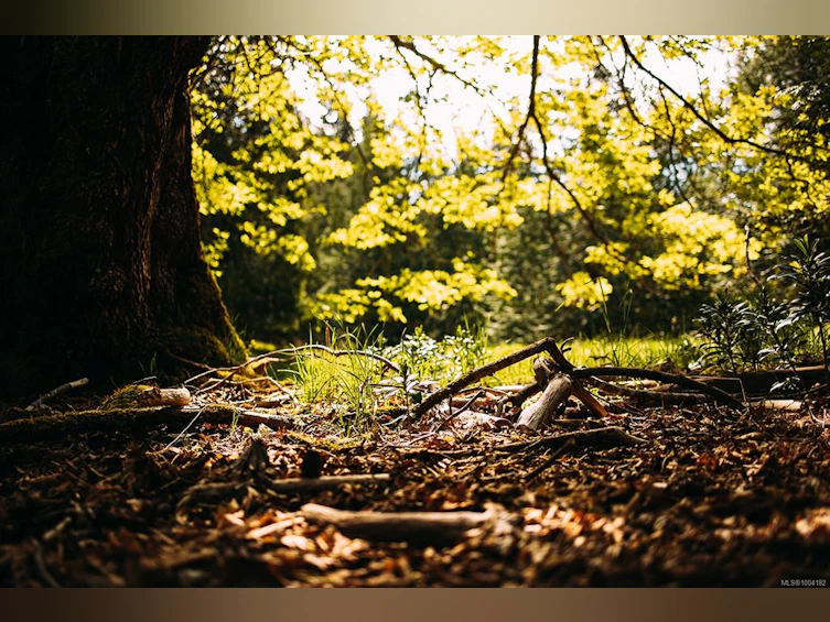 Lt 8 Sitka Grove, Gabriola Island, BC, V0R 1X0