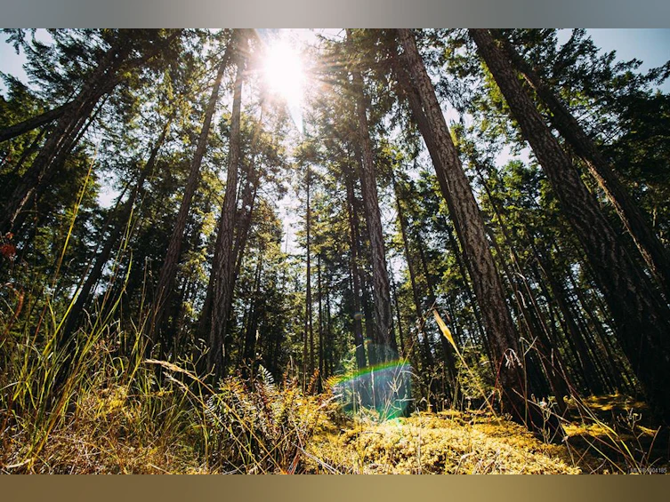 Lt 9 Sitka Grove, Gabriola Island, BC, V0R 1X1 - 3